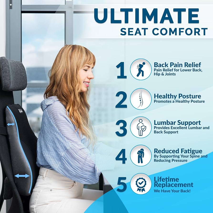 Amazon.com: ComfiLife Lumbar Support Pillow for Office Chair